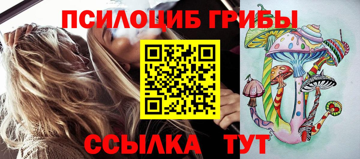 Сергиев Посад  Псилоцибиновые грибы MAGIC MUSHROOMS  Галлюциногенные грибы мухоморы  Вход с VPN 