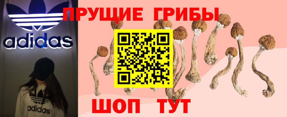 Галлюциногенные грибы Magic Shrooms Сергиев Посад